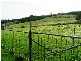 163 Turkey Farm Road, Glengarry TAS 7275