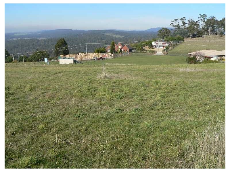 8 Skyline Avenue, Grindelwald TAS 7277