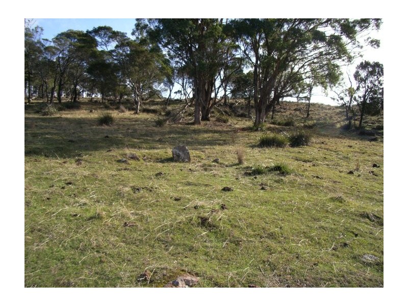 771 Deviot Road, Deviot TAS 7275