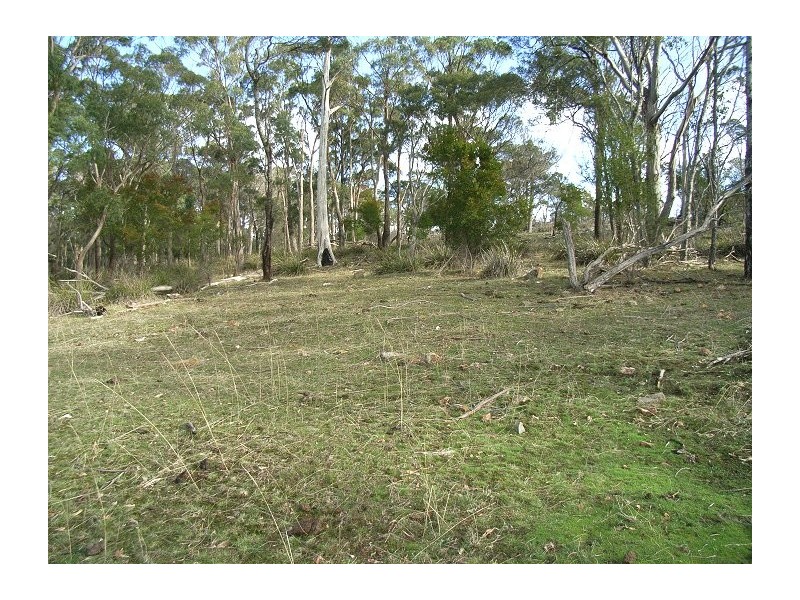 771 Deviot Road, Deviot TAS 7275