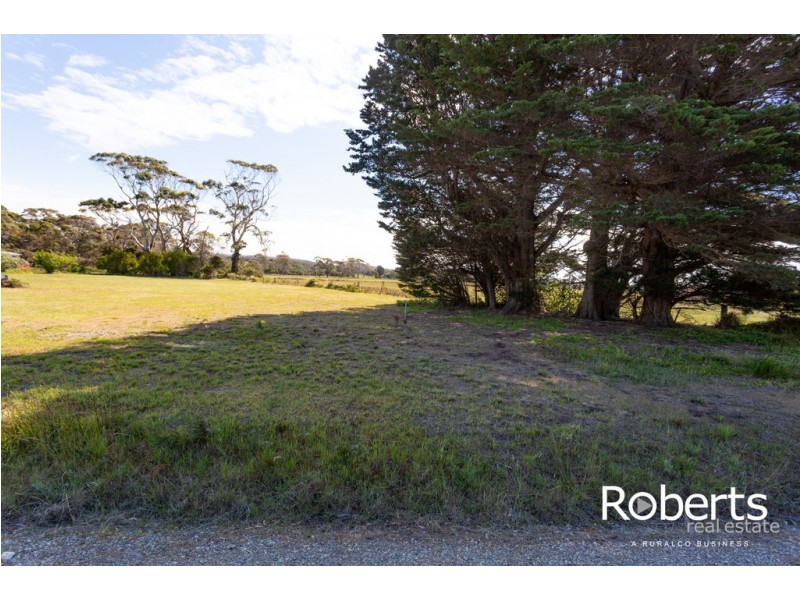 Lot 26, 1221 Greens Beach Road, Kelso TAS 7270