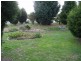 21 Jellico Street, Beauty Point TAS 7270