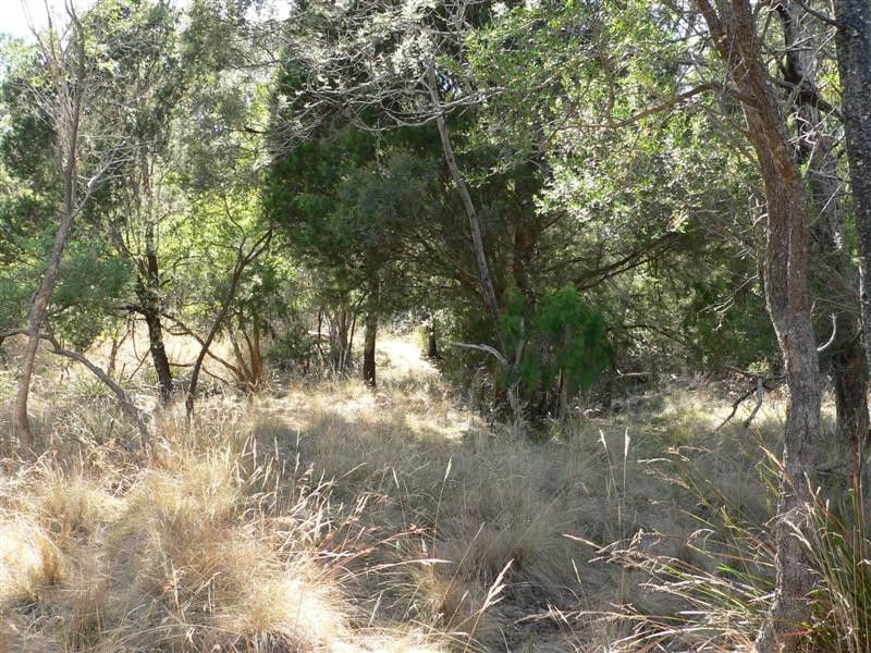 281 John Lees Drive, Dilston TAS 7252