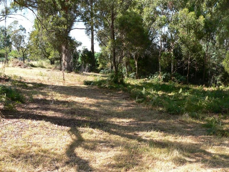 281 John Lees Drive, Dilston TAS 7252