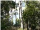 281 John Lees Drive, Dilston TAS 7252