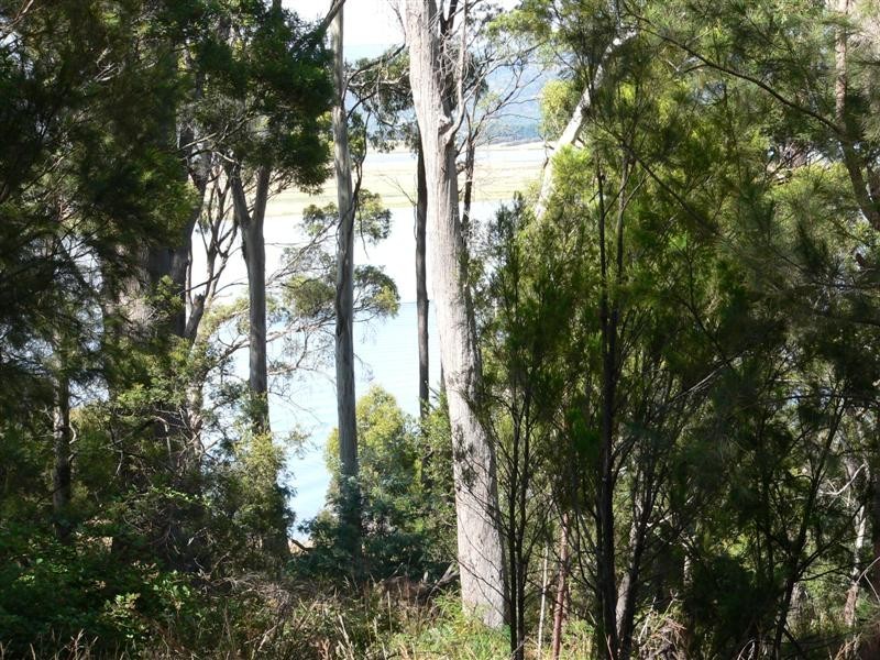 281 John Lees Drive, Dilston TAS 7252