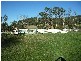 300 Flowery Gully Road, Flowery Gully TAS 7270