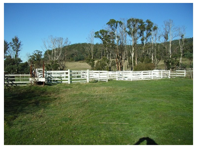 300 Flowery Gully Road, Flowery Gully TAS 7270