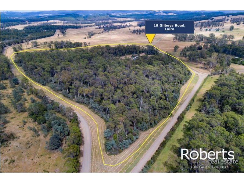 19 Gilbeys Road, Loira TAS 7275