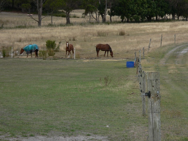 59 Tattersalls Road, Beaconsfield TAS 7270