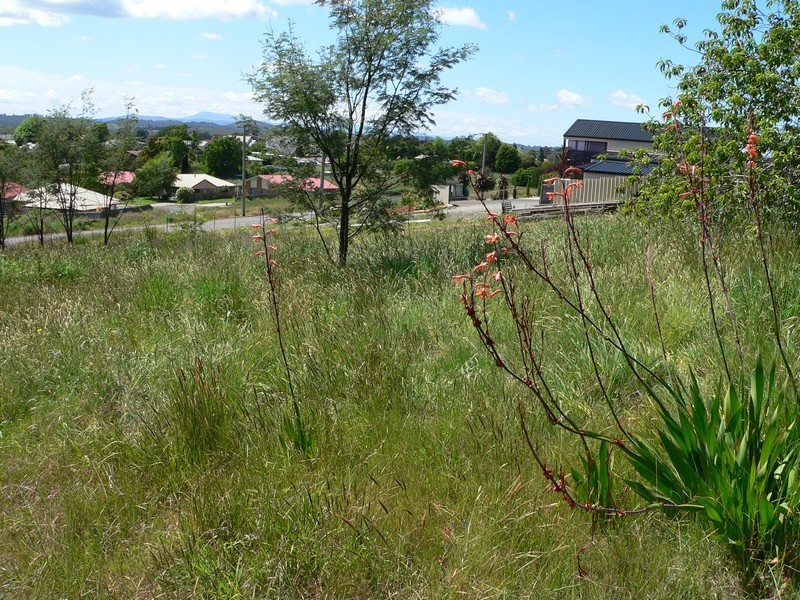 81 Payne Street, Beaconsfield TAS 7270
