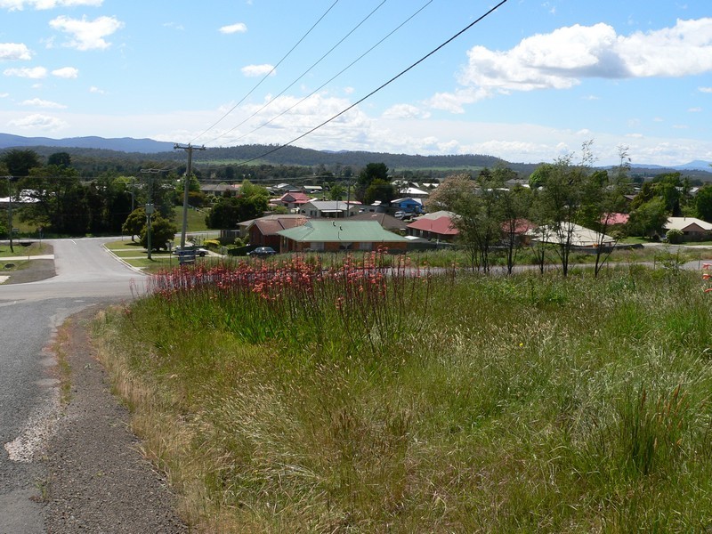 81 Payne Street, Beaconsfield TAS 7270