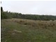 Lot 2 Long Plains Road, Exeter TAS 7275