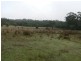 Lot 2 Long Plains Road, Exeter TAS 7275
