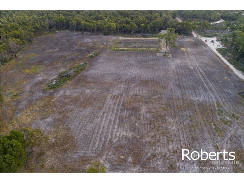 980 Greens Beach Road, Clarence Point TAS 7270