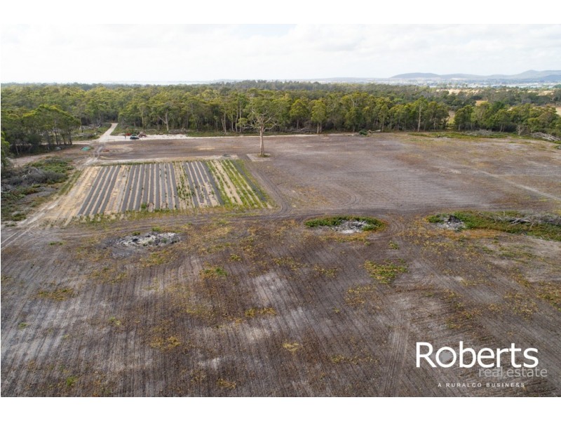 980 Greens Beach Road, Clarence Point TAS 7270