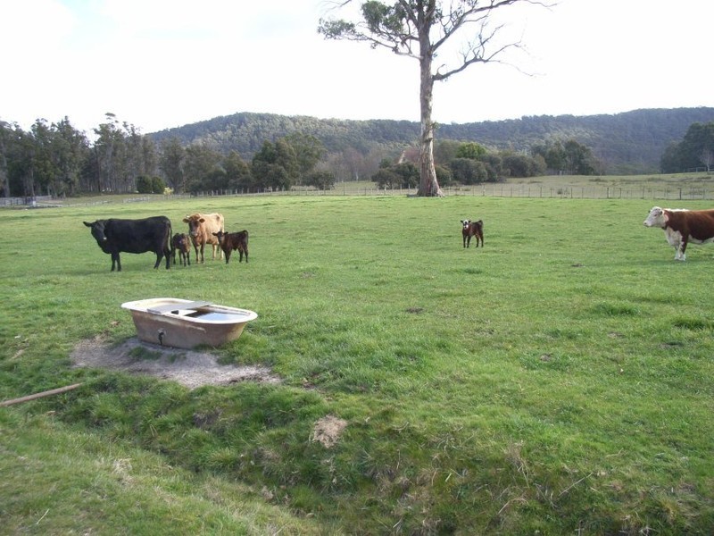 3535 West Tamar Highway, Sidmouth TAS 7270