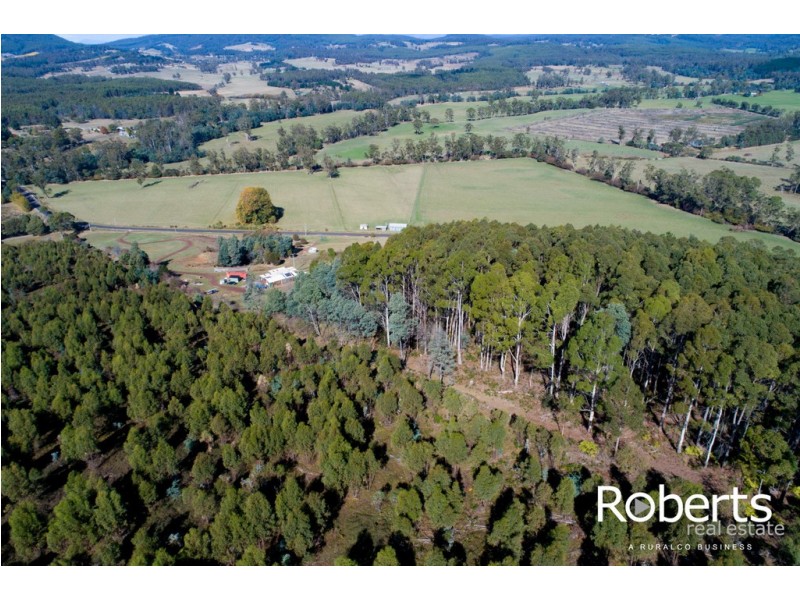 766 Winkleigh Road, Winkleigh TAS 7275