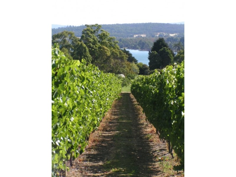 119 Leam Road, Hillwood TAS 7252