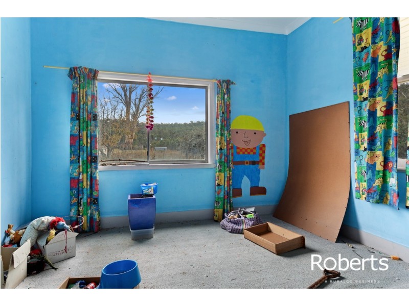 355 Barhams Road, Frankford TAS 7275