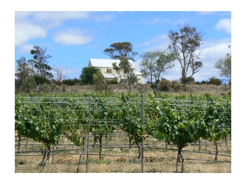 111 Archers Road, Hillwood TAS 7252