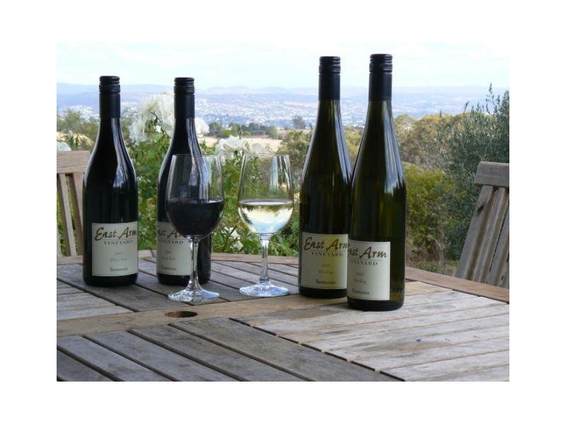 111 Archers Road, Hillwood TAS 7252