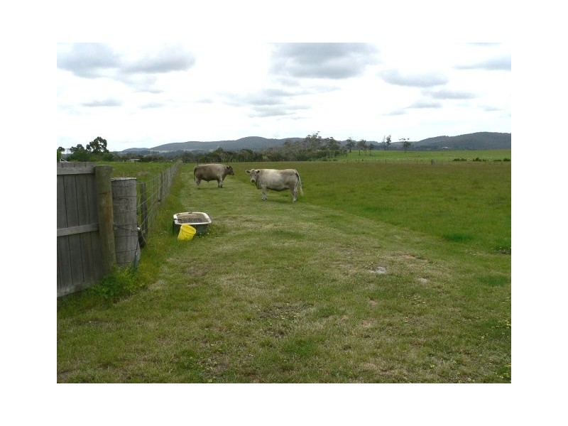 16 Brodies Road, Rowella TAS 7270