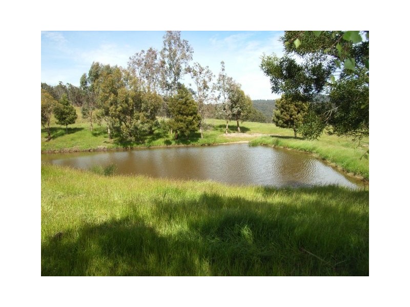 232 Hoods Road, Glengarry TAS 7275