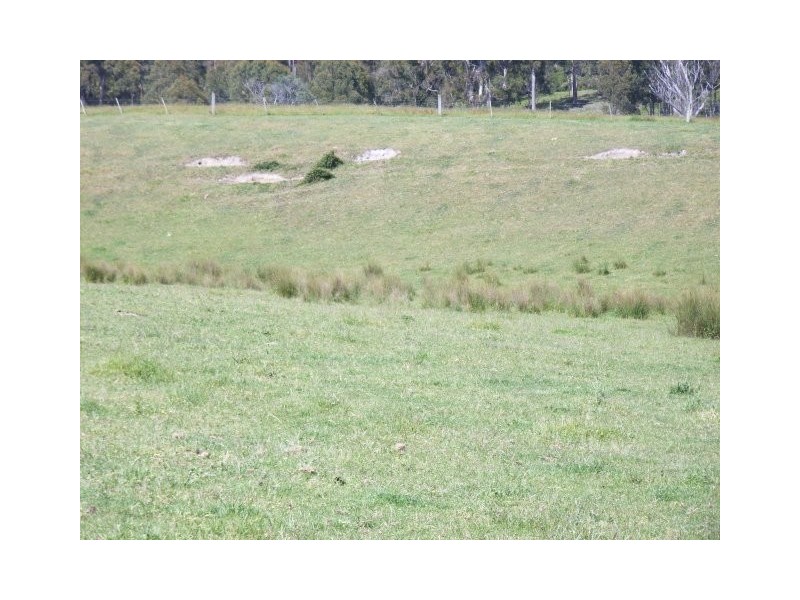 232 Hoods Road, Glengarry TAS 7275