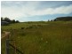 232 Hoods Road, Glengarry TAS 7275