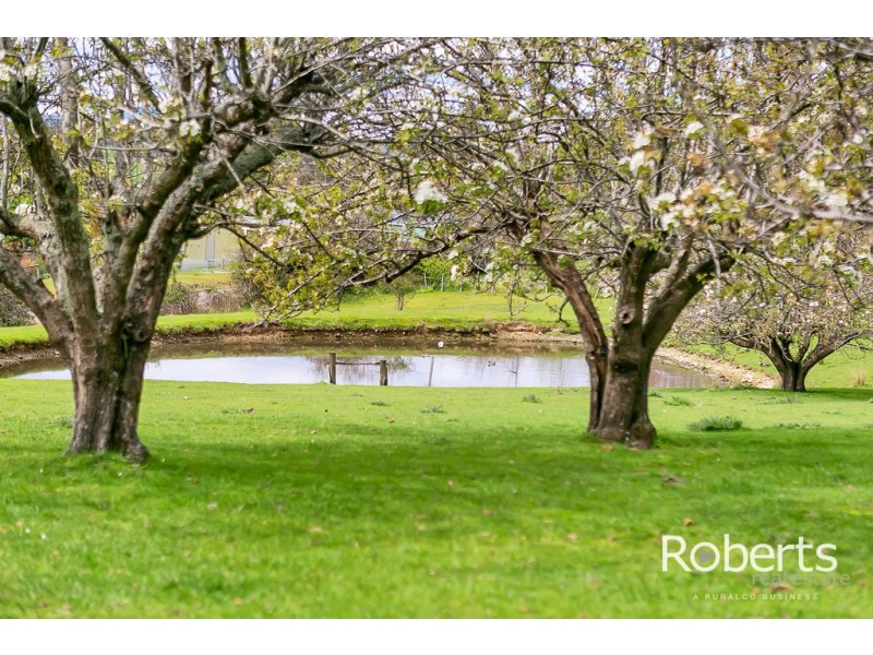 Lot 2, 17 Hudson Street, Sidmouth TAS 7270