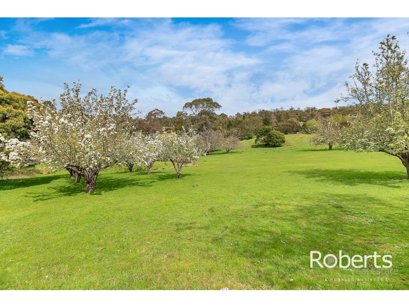 Lot 2, 17 Hudson Street, Sidmouth TAS 7270