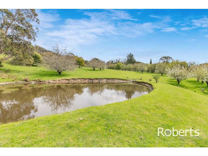 Lot 2, 17 Hudson Street, Sidmouth TAS 7270