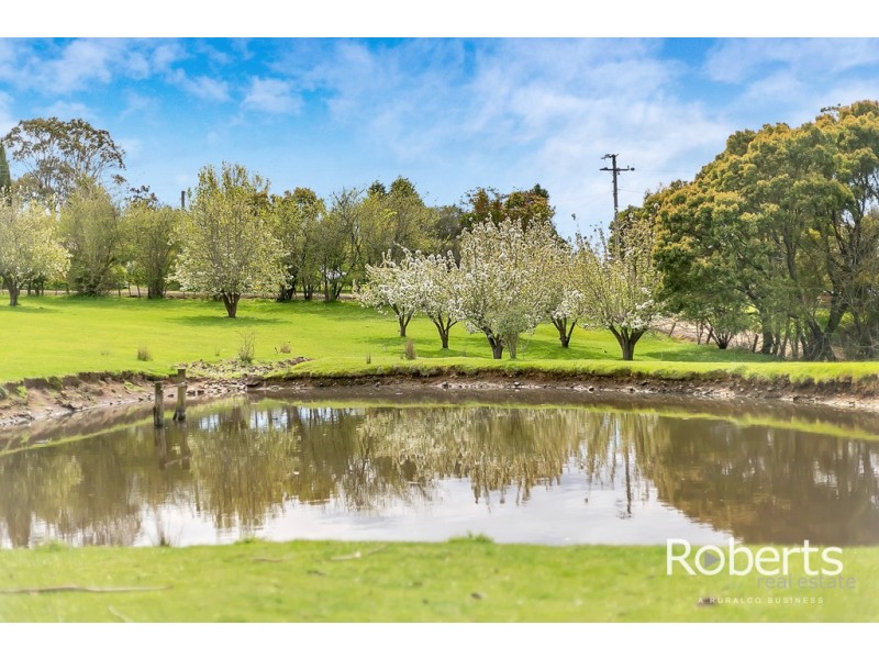 Lot 2, 17 Hudson Street, Sidmouth TAS 7270