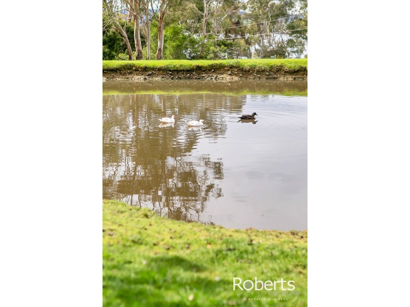 Lot 2, 17 Hudson Street, Sidmouth TAS 7270