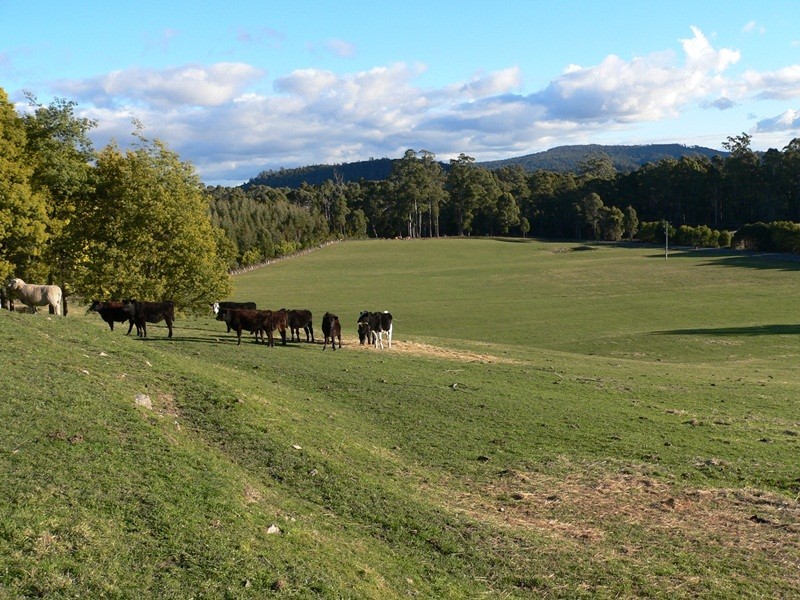 1071 Frankford Road, Glengarry TAS 7275