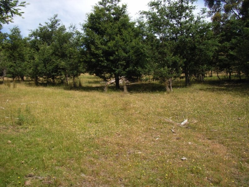 1407 Holwell Road, Holwell TAS 7275