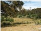 1407 Holwell Road, Holwell TAS 7275