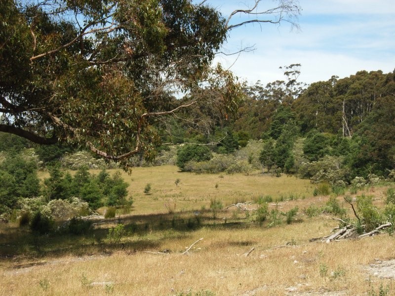 1407 Holwell Road, Holwell TAS 7275