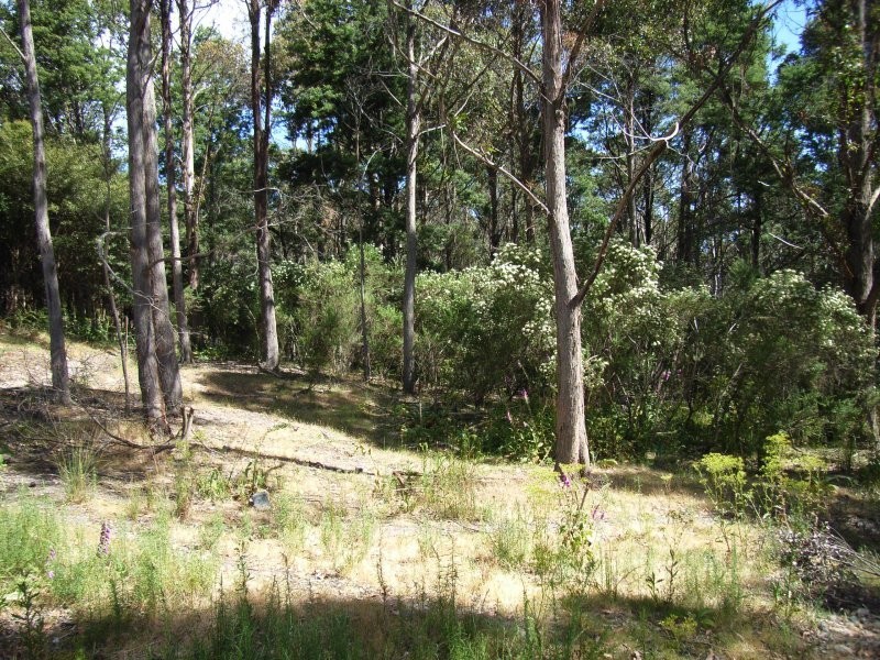 1407 Holwell Road, Holwell TAS 7275