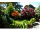 2619 West Tamar Highway, Exeter TAS 7275
