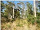 Lot 4 Whites Road, Beaconsfield TAS 7270