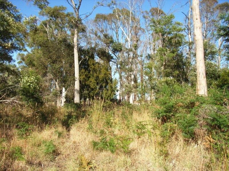 Lot 4 Whites Road, Beaconsfield TAS 7270