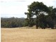 Lot 5 Whites Road, Beaconsfield TAS 7270