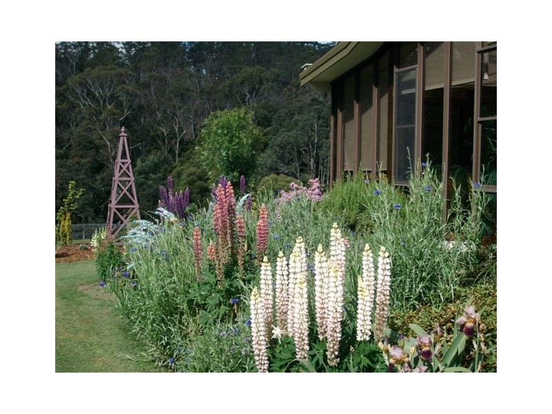 168 Main Road, Exeter TAS 7275