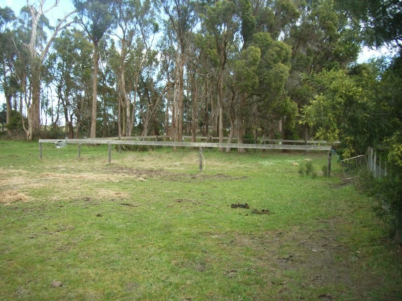 598  Rowella Road, Rowella TAS 7270