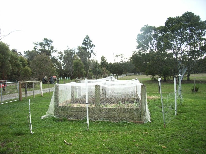 598  Rowella Road, Rowella TAS 7270