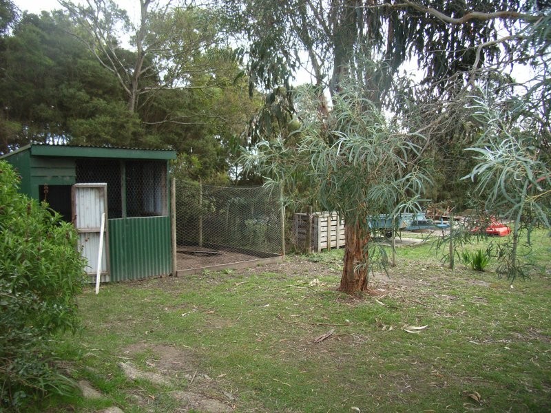 598  Rowella Road, Rowella TAS 7270