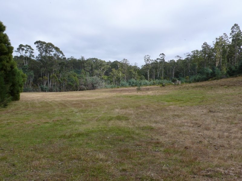 32 Lorikeet Lane, Rosevale TAS 7292