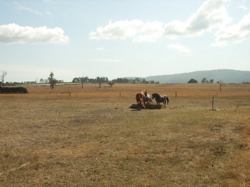 625  Rowella Road, Rowella TAS 7270